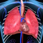 ¿Es diferente la Cirugía Torácica de la Cirugía Cardiovascular?